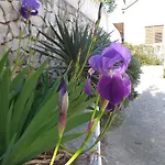 Anita * Donji Okrug